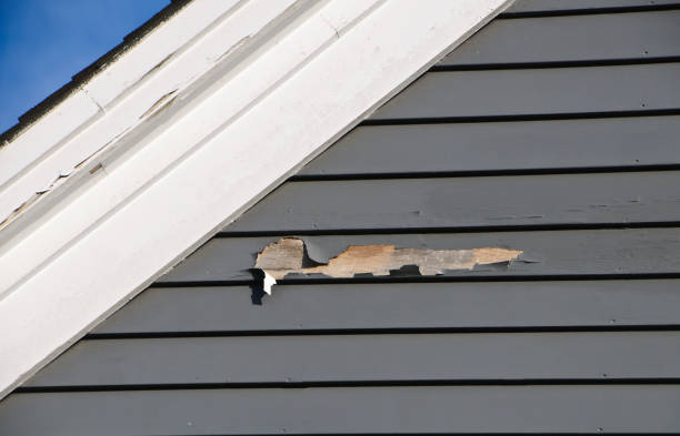 Best Siding for New Construction  in Elkton, VA