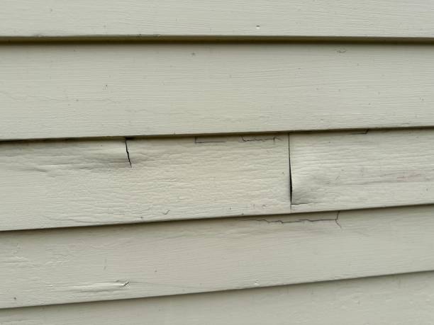 Best Siding Maintenance  in Elkton, VA