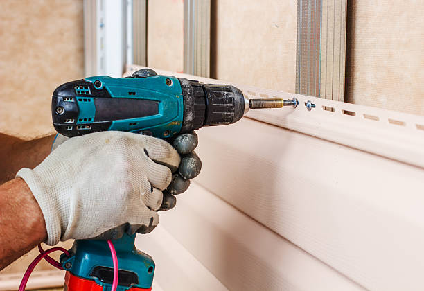 Best Fascia and Soffit Installation  in Elkton, VA